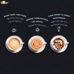 Máy pha cà phê Bear CF-B02V1 - Espresso đậm đà trong tích tắc - Ảnh 16