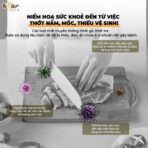 Thớt Bear CX-E0023 - Chuẩn bị thực phẩm nhanh gọn gàng - Ảnh 10