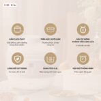 Nồi nấu chậm Bear