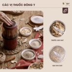 Máy xay bột khô mini Bear MDJ – A02G3 - Thiết kế gọn, xay nhanh - Ảnh 2