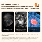 Nồi cơm điện Bear 1.2L RC-5H30O12 - Lòng nồi Inox 316L cao cấp - Ảnh 18