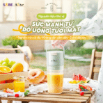 Máy xay sinh tố Bear