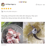 Máy xay thịt Bear 1.8L SB-MX20A - Cối thủy tinh xay hạt cứng mạnh - Ảnh 20