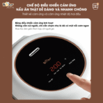 Nồi Cơm Điện Bear 1.6L SB-NC16L - Mini gọn gàng cho 1-3 người ăn - Ảnh 12