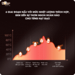 Nồi Cơm Điện Bear 1.6L SB-NC16L - Mini gọn gàng cho 1-3 người ăn - Ảnh 15