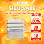 Nồi hấp Bear