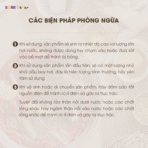 Nồi lẩu Bear 5L SB-NL05F - Nước sôi mạnh chỉ sau 10 phút - Ảnh 2