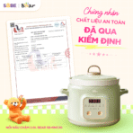 Nồi nấu chậm Bear