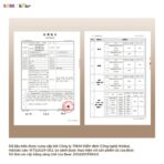 Nồi nấu chậm Bear 2.5L SC-5H25M34 - Van vi áp hầm gà nguyên con - Ảnh 8