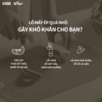 Máy ép chậm Bear SJ-4H01T - Ép trục vít giữ trọn vitamin nguyên - Ảnh 6