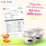 Nồi nấu chậm Bear