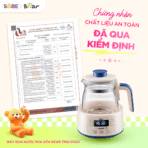 Bình đun nước Bear