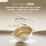 Nồi nẩu nướng hấp Bear